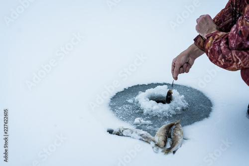 Fish being pulled through the ice while ice fishing