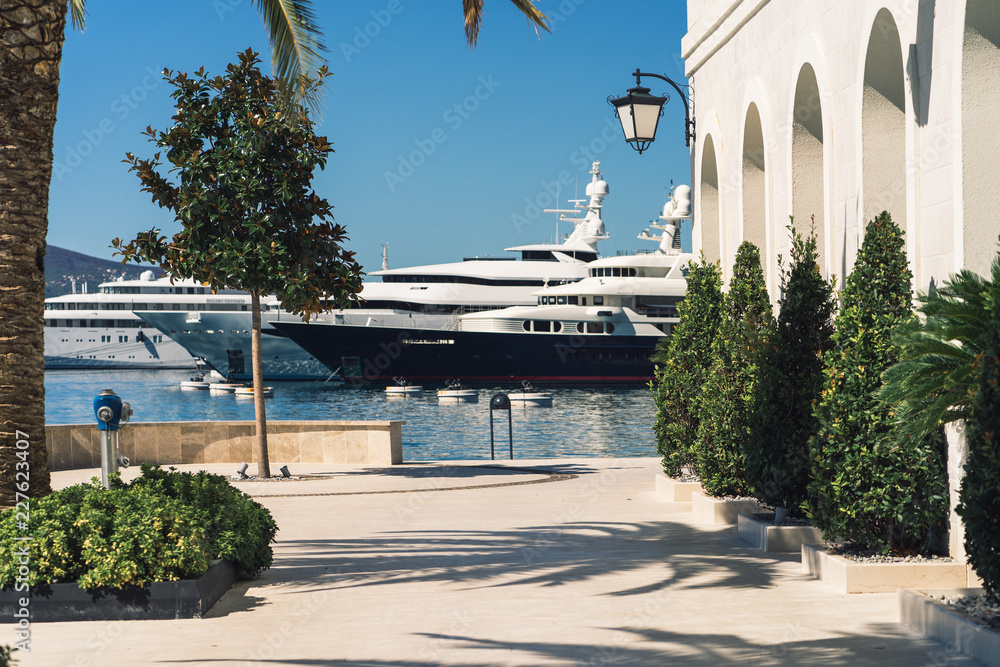 Fototapeta premium palm trees and yachts on a sunny day in the marina in Porto Montenegro, Tivat
