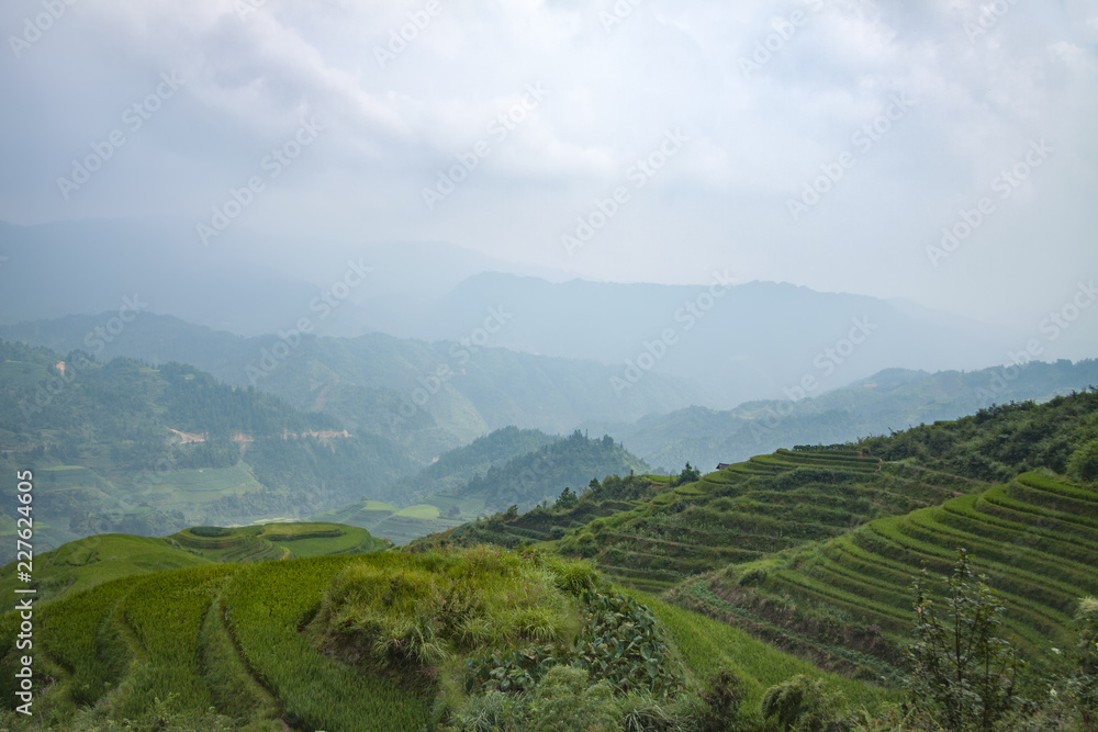 Green rice terraces in rural part of China Green rice terraces in rural part of China