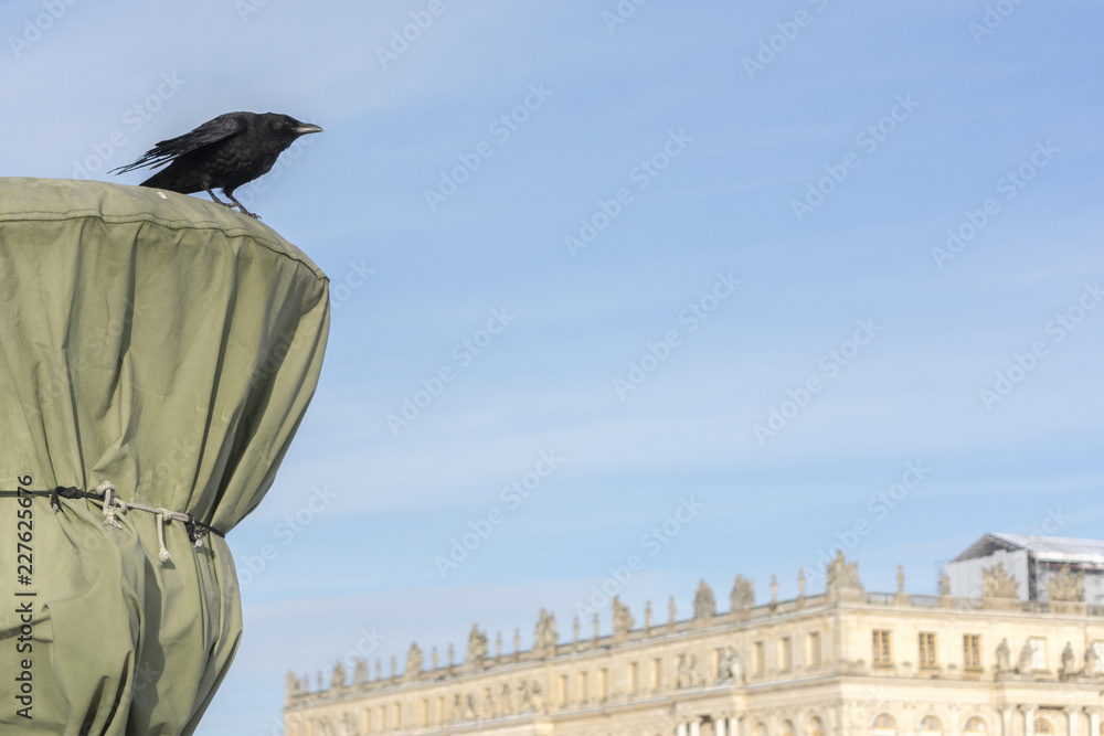 Fototapeta premium Versailles Chateau in the Snow