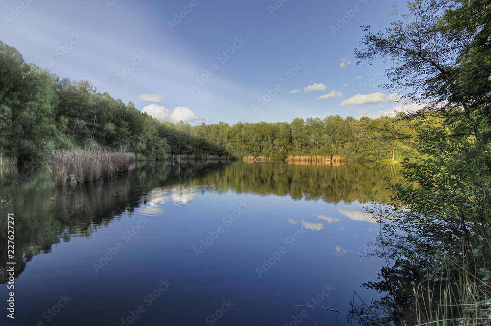 Naklejka premium lake in the summer
