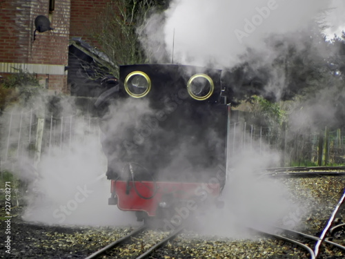Steam around narrow gauge locomotive