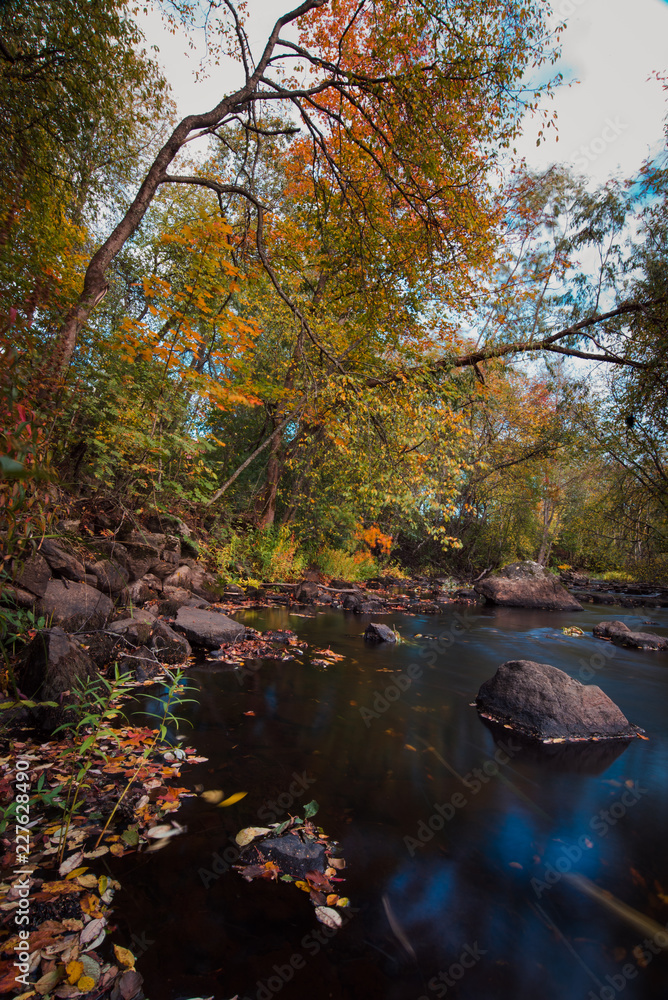 Creekside autumn