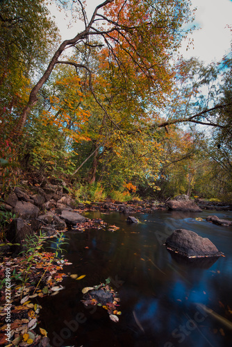 Fototapeta Naklejka Na Ścianę i Meble -  Creekside autumn