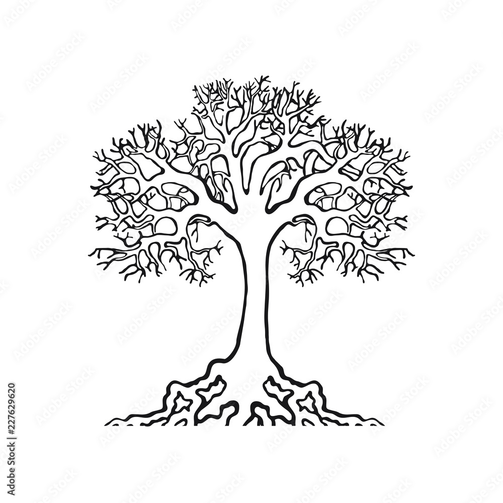 Fototapeta premium tree natural symbol on white background realistic and handmade stroke small roots