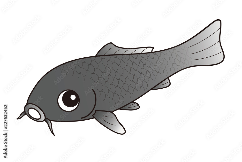 鯉 ニシキゴイ 黒色 Stock Illustration Adobe Stock 鯉 ニシキゴイ 黒色 Stock Illustration Adobe Stock