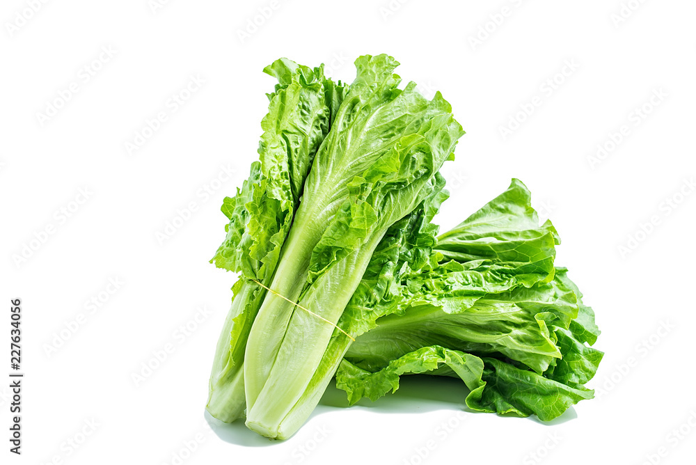 a lettuce on a white background a lettuce on a white background