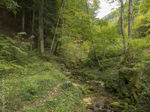 Reigoldswil en Suisse au fond de la vall  e de Frenke. Le sentier au bord de la cascade.