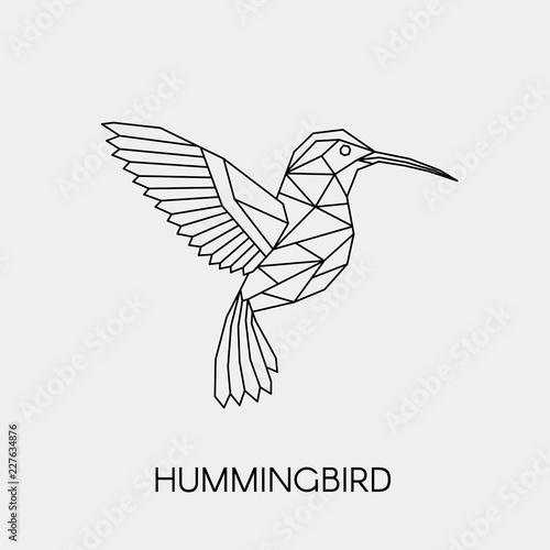 Geometric hummingbird. Polygonal linear abstract tropical bird. Vector illustration