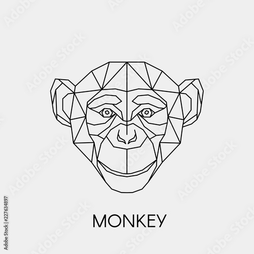 Geometric monkey. Polygonal linear animal head. Vector illustration.