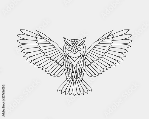 Geometric owl. Polygonal linear abstract bird. Vector illustration
