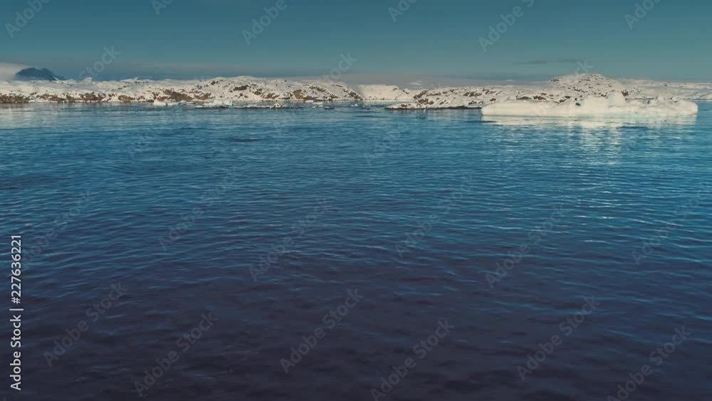 Penguins underwater. Antarctica aerial view drone flight 4k. Group of the Gentoo penguins jumping in the blue ocean water next to the ice, snow covered Antarctic continent. Habits of wild animals. Penguins underwater. Antarctica aerial view drone flight 4k. Group of the Gentoo penguins jumping in the blue ocean water next to the ice, snow covered Antarctic continent. Habits of wild animals.
