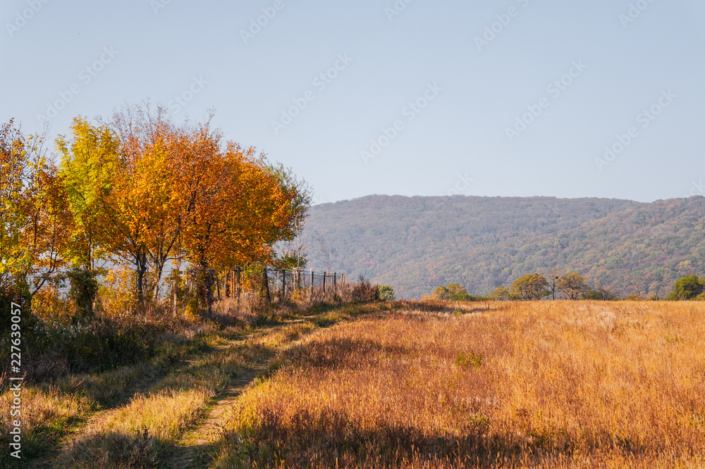 Autumn Road - Devin, Slovakia Autumn Road - Devin, Slovakia