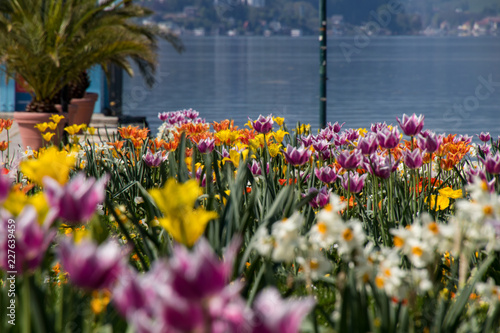 Klagenfurt Seepromenade und Schiffsanlegestelle