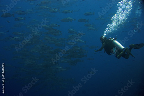 Wallpaper Mural Coral reefs of Red Sea, Sharm el Sheikh, Egypt  Torontodigital.ca