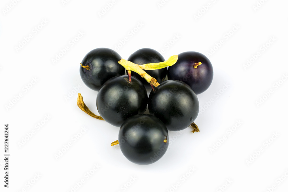 Berries of blackberry are isolated on a white background. Berries of blackberry are isolated on a white background.