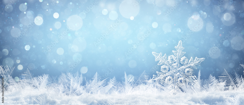 Fototapeta premium Snowflake On Natural Snowdrift Close Up - Christmas And Winter Background 