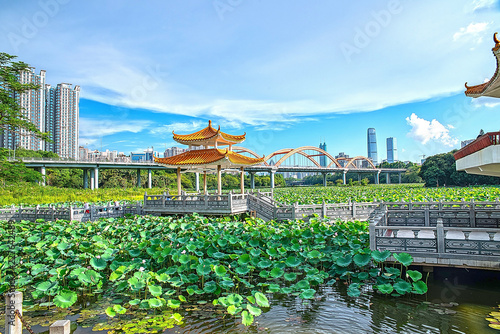 Lotus in Shenzhen Honghu Park photo