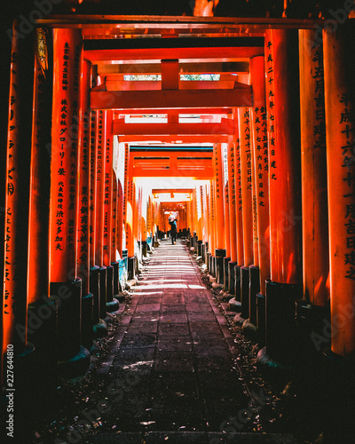 An Alley in Fushimi Inari Shrine