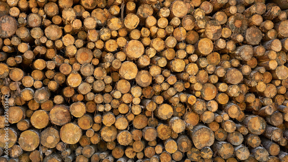 Dry chopped tree logs stacked on top of each other. Dry chopped tree logs stacked on top of each other.