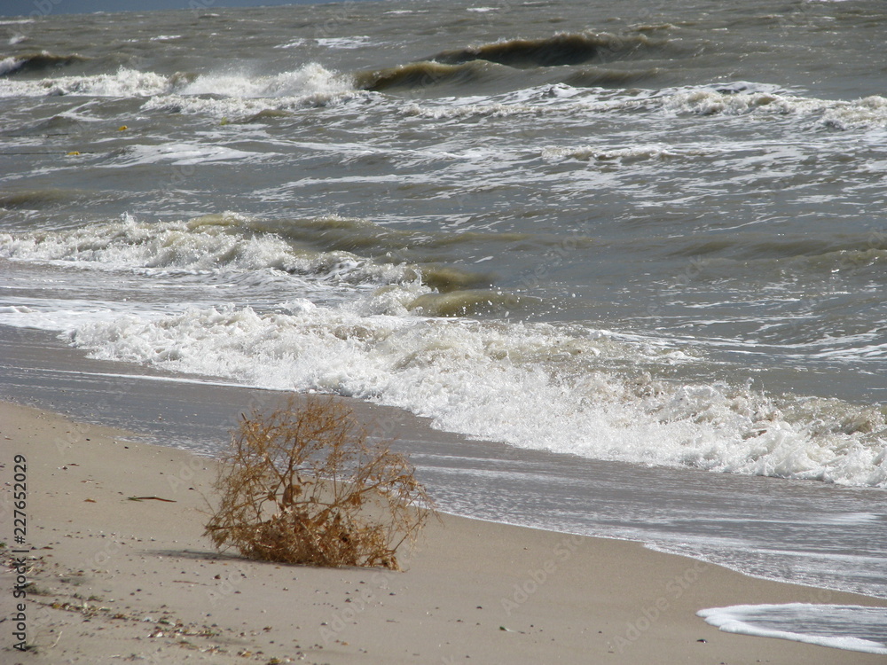 waves on the beach waves on the beach