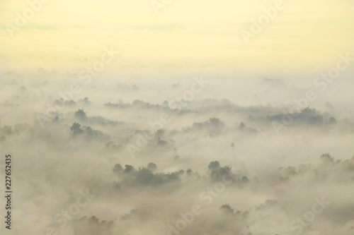  Mountainous landscape with golden sky and beautiful mist,Phu Tho Chiang Khan,Loei. © popetorn