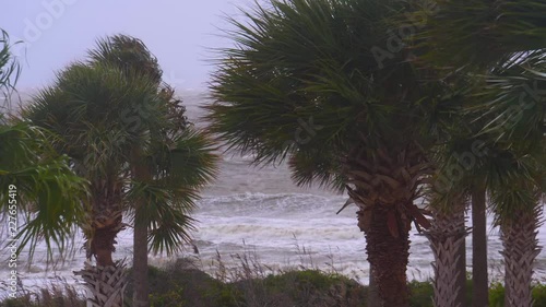 Hurricane Prepares to Hit Beach and Palm Trees