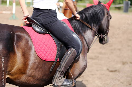 Sport horse close up under old leather saddle on dressage competition