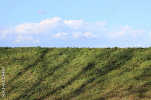 sky  grass  landscape