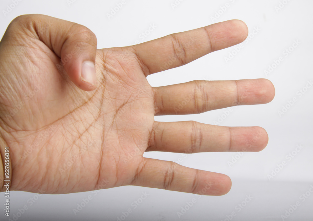hand showing 4 fingers isolated hand showing 4 fingers isolated
