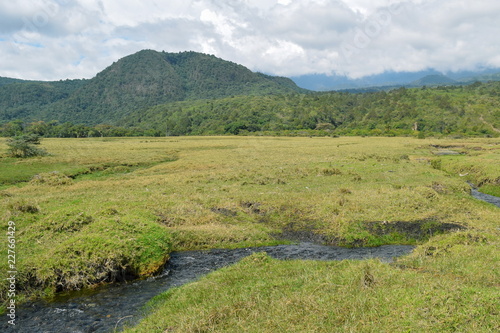 A fresh water against a mounatin background, Arusha National Park, Tanzania