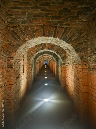 Dark brick long mystical arched corridor illuminated in the floor © Tatiana Nikitina