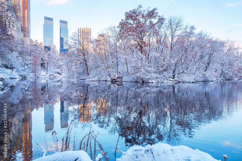 Naklejka premium Park Centralny. Nowy Jork. USA w zimie pokryte śniegiem
