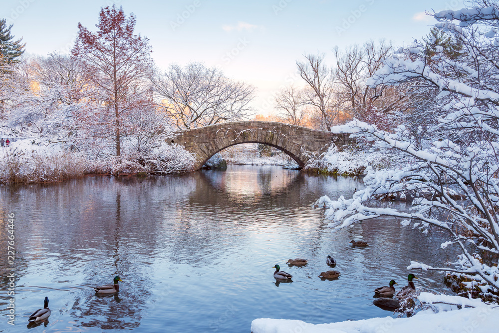 Obraz premium Park Centralny. Nowy Jork. USA w zimie pokryte śniegiem