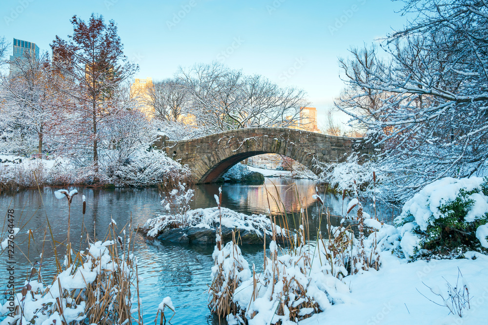 Fototapeta premium Park Centralny. Nowy Jork. USA zimą pokryte śniegiem