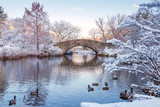 Central Park. New York. USA in winter covered with snow