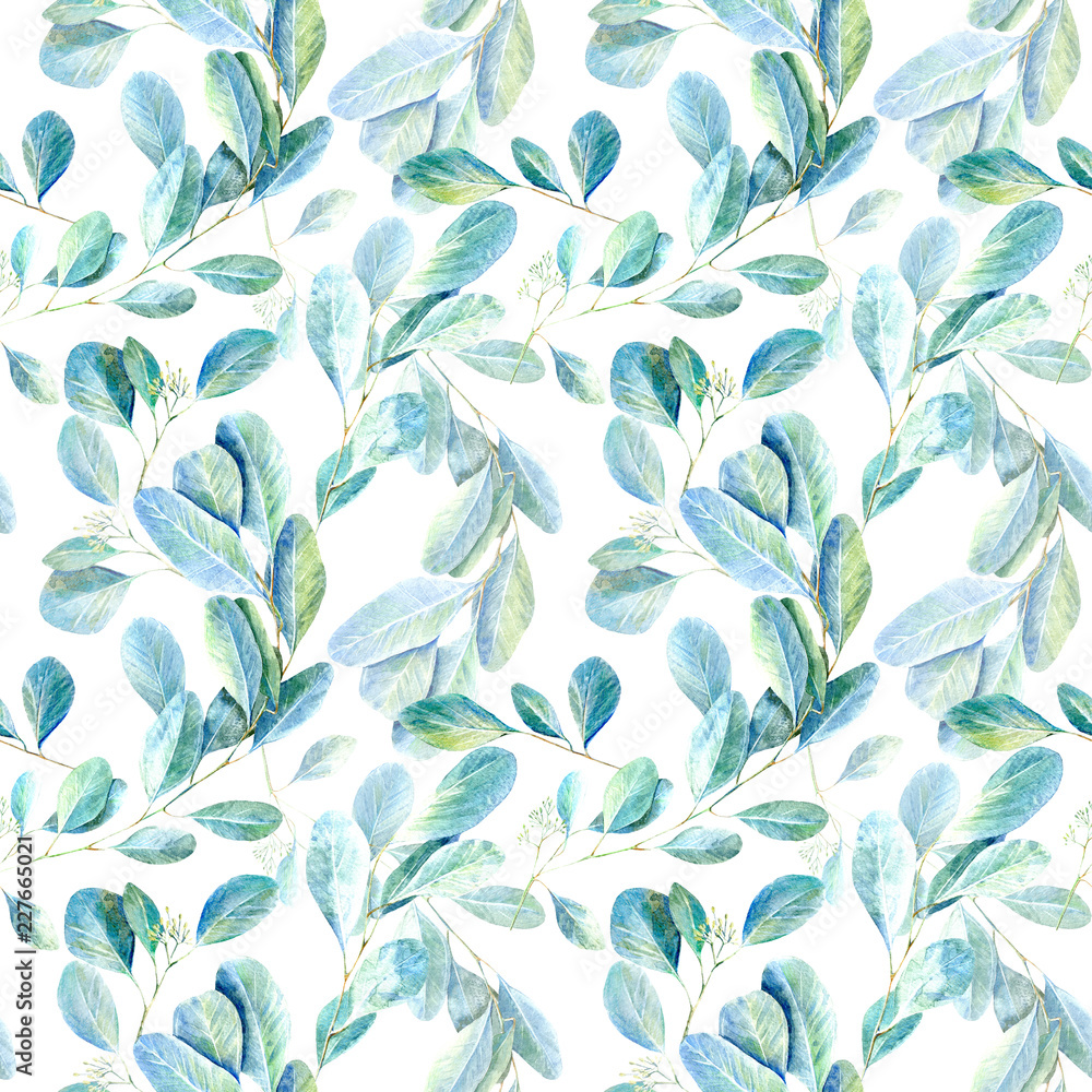 Floral seamless pattern.Eucalyptus branches.Image for fabric, paper and other printing and web projects.Watercolor hand drawn illustration.White background. Floral seamless pattern.Eucalyptus branches.Image for fabric, paper and other printing and web projects.Watercolor hand drawn illustration.White background.