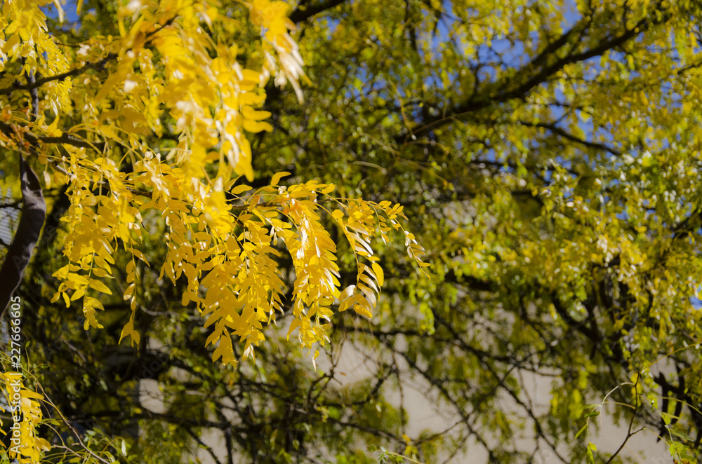 Herbststimmung Herbststimmung