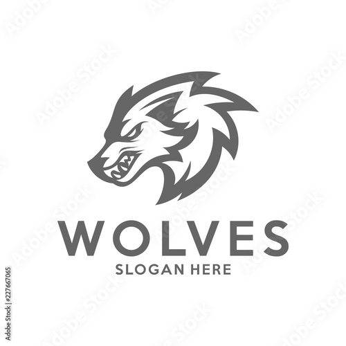 Modern professional Wolf logo for a sport team. Wolf logo vector illustration.