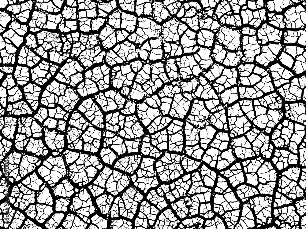 Obraz premium Cracked earth soil texture vector background