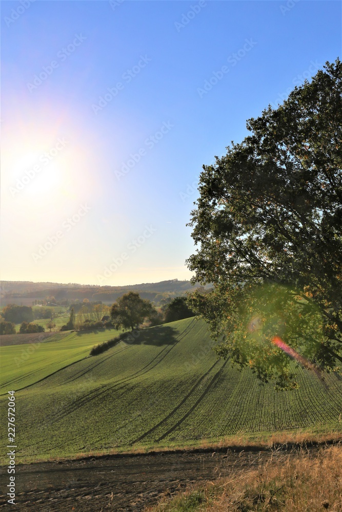Fototapeta premium An image of land