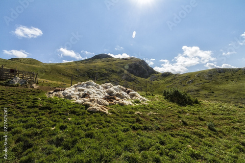 Beautiful landscape in Montenegro with fresh grass and beautiful peaks. Durmitor National Park in Montenegro part of Dinaric Alps. 