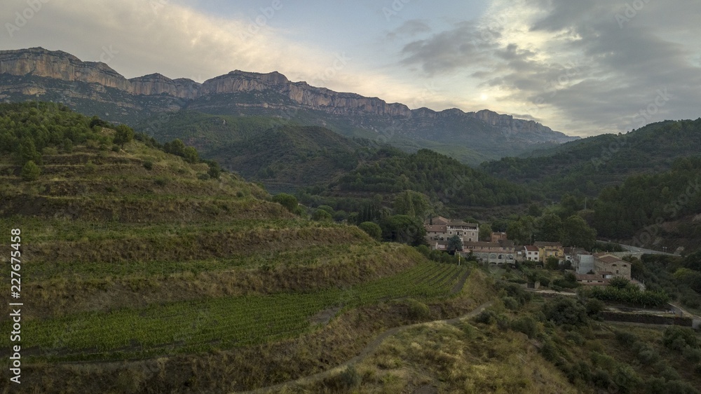 Priorat winefields zone 47