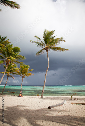 Fototapeta Naklejka Na Ścianę i Meble -  carribean beach in La Desirade, Guadeloupe