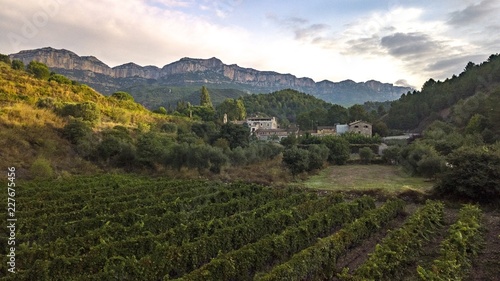 Priorat winefields zone 48