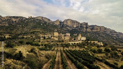 Priorat winefields zone 34 photo