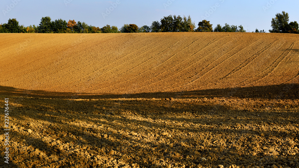 field cultivated in preparation of the harvest