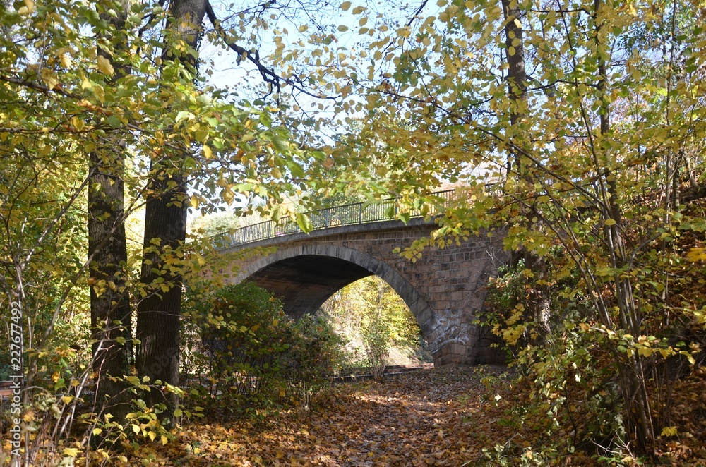 Brücke im sonnigen Herbstwald