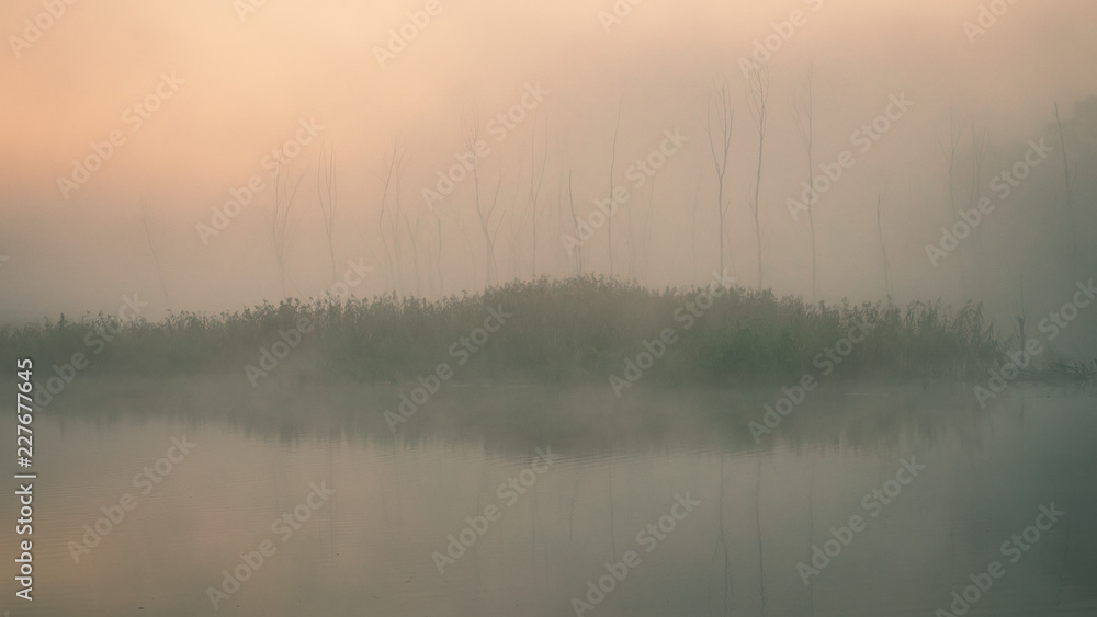 Fototapeta premium Autumn misty landscape on the river in the morning. Reeds and trees.