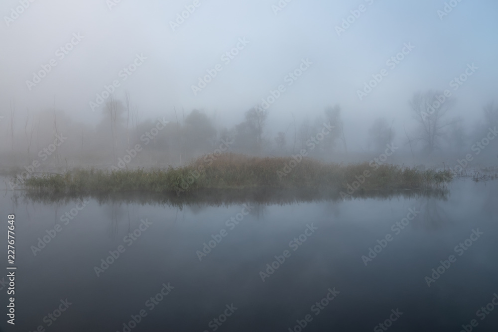 Autumn misty landscape on the river in the morning. Reeds and trees.
